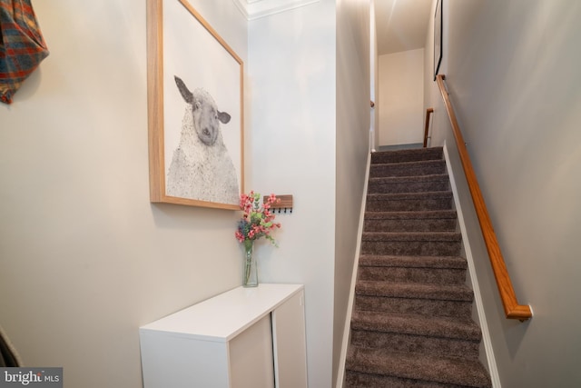 20468 Alicent Ter, Ashburn, VA 20147 - view of staircase