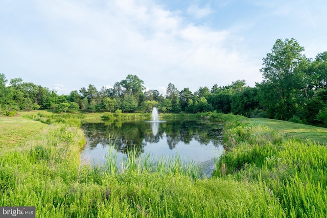 20468 Alicent Ter, Ashburn, VA 20147 - water view