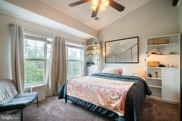 20468 Alicent Ter, Ashburn, VA 20147 - carpeted bedroom with lofted ceiling, multiple windows, and ceiling fan