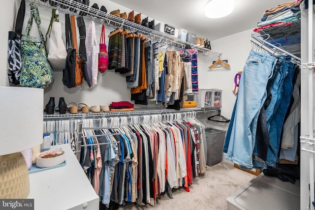 904 Misty Manor Ln, Millersville, MD 21108 - walk in closet featuring carpet