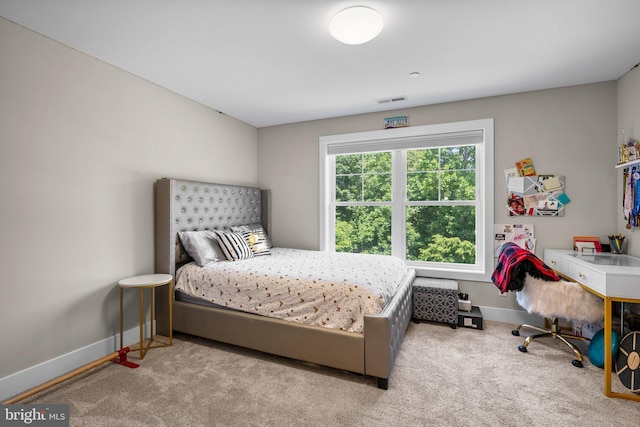 904 Misty Manor Ln, Millersville, MD 21108 - bedroom featuring baseboards and carpet flooring
