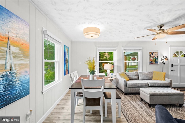 412 Marshall Ave, Colonial Beach, VA 22443 - living room featuring healthy amount of natural light, light wood-type flooring, and ceiling fan