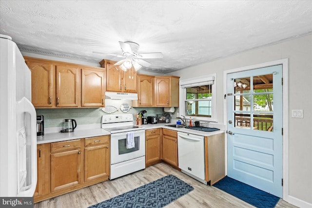 412 Marshall Ave, Colonial Beach, VA 22443 - kitchen with white appliances, under cabinet range hood, light wood finished floors, light countertops, and a sink