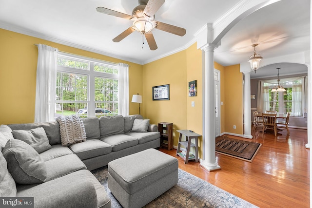 240 Charleston Rd, Ocean Pines, MD 21811 - living area featuring ornate columns, healthy amount of natural light, wood finished floors, a ceiling fan, and crown molding