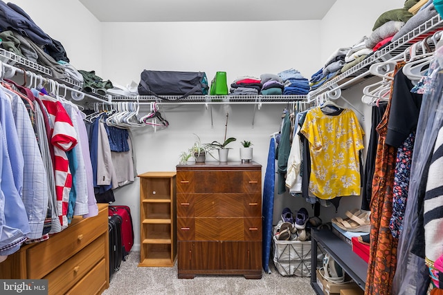 240 Charleston Rd, Ocean Pines, MD 21811 - walk in closet with carpet
