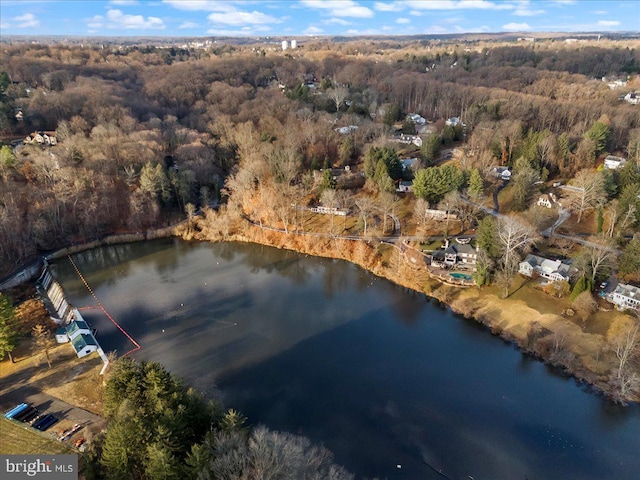 601 Crum Creek Rd, Media, PA 19063 - drone / aerial view of a forest and a nearby body of water