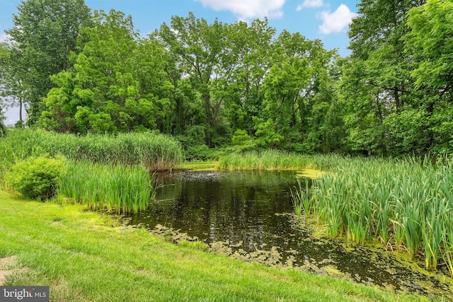 415 Pyles Mountain Ln, Avondale, PA 19311 - water view
