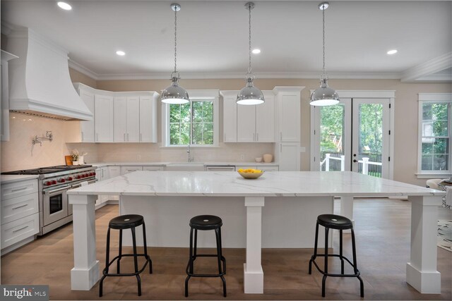 504 Kingsley Rd SW, Vienna, VA 22180 - kitchen featuring range with two ovens, custom range hood, plenty of natural light, white cabinets, and recessed lighting