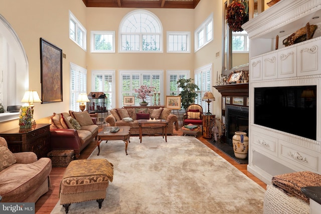103 Marian Dr, Princeton Junction, NJ 08550 - living room with wood finished floors, healthy amount of natural light, a high ceiling, and a fireplace