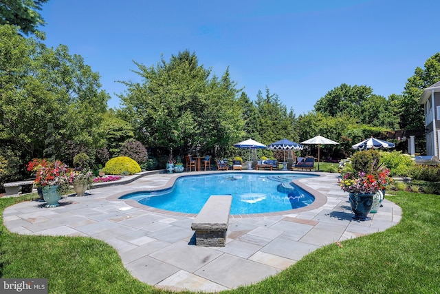 103 Marian Dr, Princeton Junction, NJ 08550 - swimming pool with a patio area and a diving board