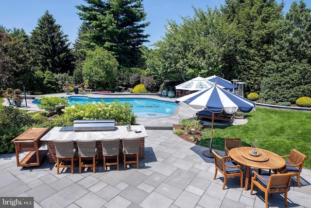 103 Marian Dr, Princeton Junction, NJ 08550 - swimming pool featuring outdoor dining area, a patio area, a lawn, and view of wooded area