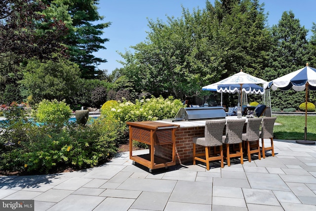103 Marian Dr, Princeton Junction, NJ 08550 - view of patio / terrace featuring view of scattered trees and an outdoor kitchen