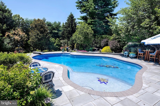 103 Marian Dr, Princeton Junction, NJ 08550 - swimming pool with a patio area and view of scattered trees