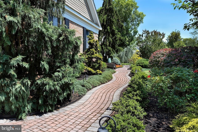 103 Marian Dr, Princeton Junction, NJ 08550 - view of yard