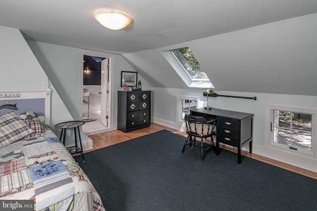 200 Hun Rd, Princeton, NJ 08540 - bedroom featuring a skylight, wood finished floors, vaulted ceiling, multiple windows, and ensuite bath