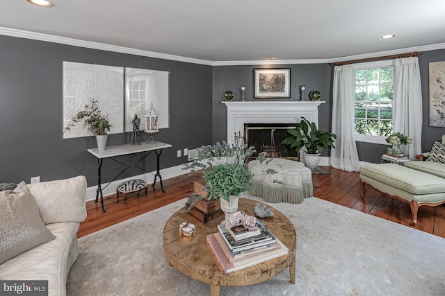200 Hun Rd, Princeton, NJ 08540 - living area with hardwood / wood-style flooring, ornamental molding, baseboards, a fireplace, and recessed lighting