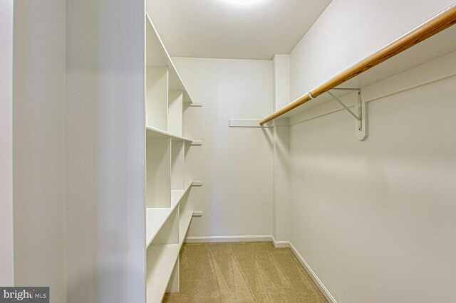 3820 Lorcom Ln, Arlington, VA 22207 - walk in closet featuring light carpet
