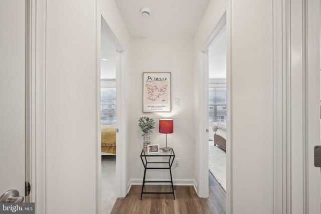 1807 Arch St Unit 21E, Norristown, PA 19401 - hallway with dark wood-style floors and baseboards