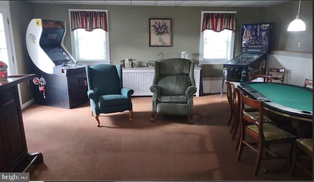 1620 Florence St, Williamsport, PA 17701 - playroom with carpet