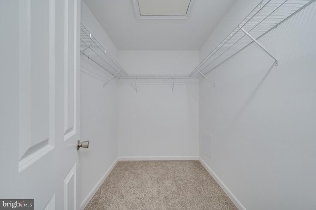 9708 Martinsburg Rd, Hedgesville, WV 25427 - walk in closet with light colored carpet