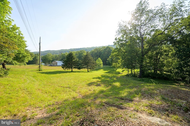 9708 Martinsburg Rd, Hedgesville, WV 25427 - view of green lawn