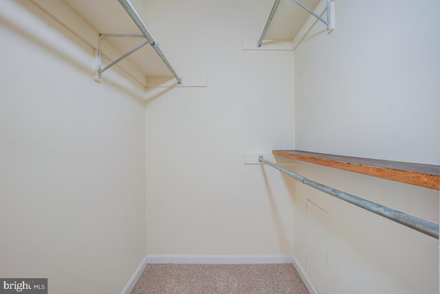 8064 Stonewall Brigade Ct, Manassas, VA 20109 - spacious closet with light colored carpet