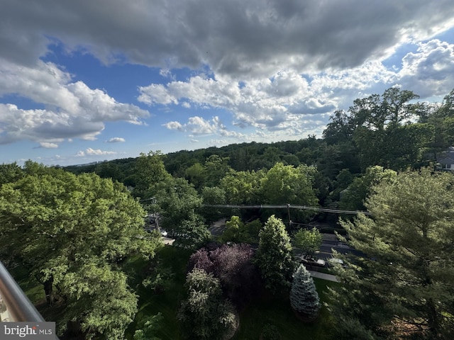 4201 Cathedral Ave NW Unit 1209W, Washington, DC 20016 - view of mountain background featuring a forest