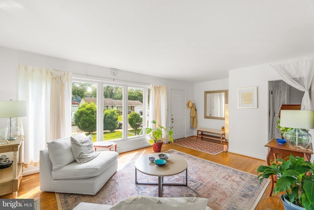 206 Mountain Rd, Linthicum Heights, MD 21090 - living room featuring wood finished floors and baseboards