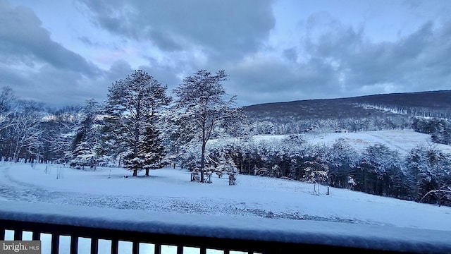299 Valentine Acres Rd, Clearville, PA 15535 - view of mountain background