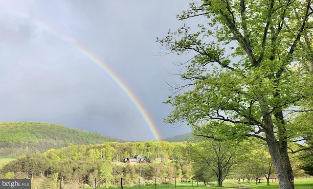 299 Valentine Acres Rd, Clearville, PA 15535 - exterior space featuring a heavily wooded area