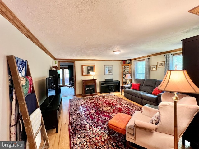 299 Valentine Acres Rd, Clearville, PA 15535 - living room featuring crown molding, a textured ceiling, and light wood-style flooring