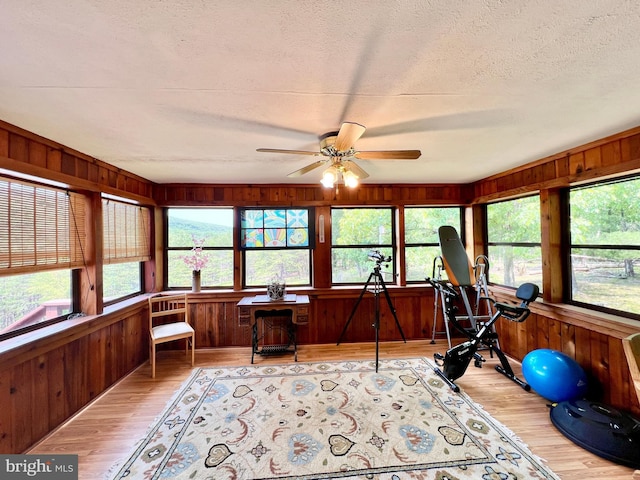 299 Valentine Acres Rd, Clearville, PA 15535 - workout area with healthy amount of natural light, wooden walls, light wood-type flooring, ceiling fan, and a textured ceiling