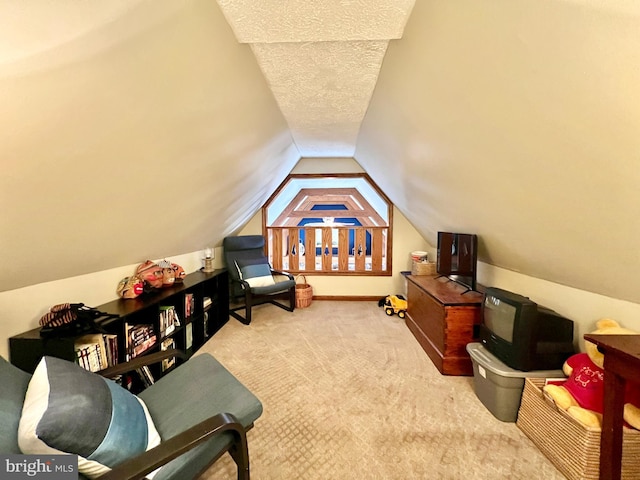 299 Valentine Acres Rd, Clearville, PA 15535 - carpeted bedroom featuring vaulted ceiling and a textured ceiling