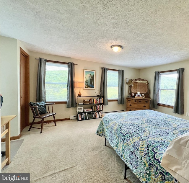 299 Valentine Acres Rd, Clearville, PA 15535 - bedroom with carpet, multiple windows, a baseboard radiator, baseboards, and a textured ceiling