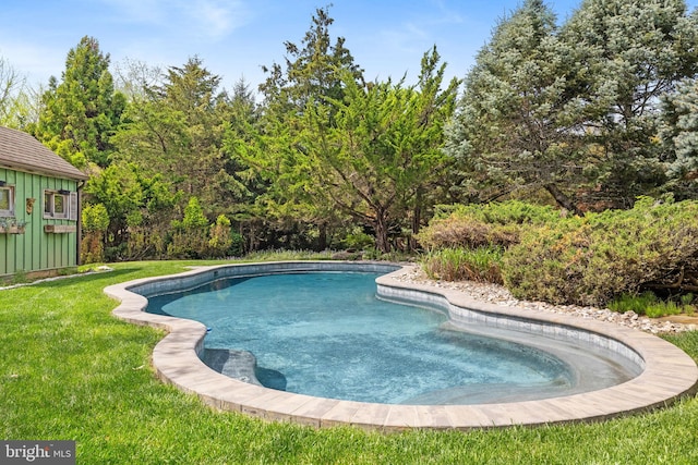 65 Covered Bridge Rd, New Hope, PA 18938 - swimming pool featuring a yard