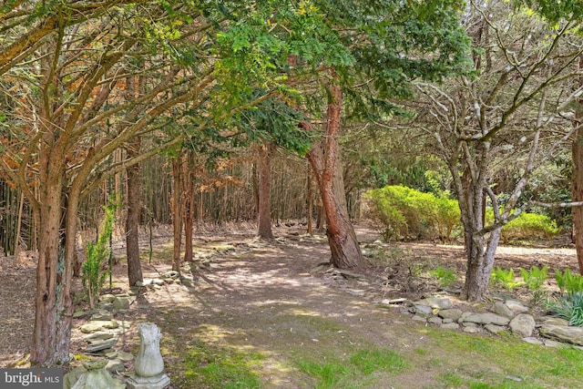 65 Covered Bridge Rd, New Hope, PA 18938 - view of nature