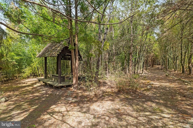65 Covered Bridge Rd, New Hope, PA 18938 - view of yard with a gazebo and a wooded view