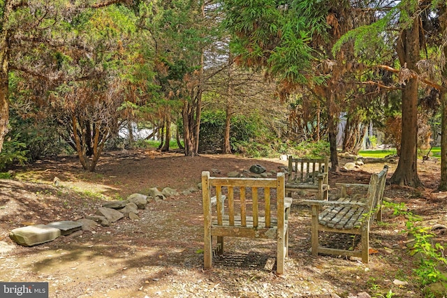 65 Covered Bridge Rd, New Hope, PA 18938 - view of yard