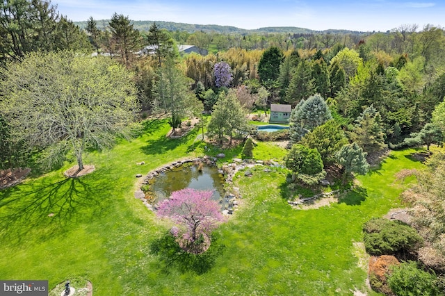 65 Covered Bridge Rd, New Hope, PA 18938 - view from above of property with a forest