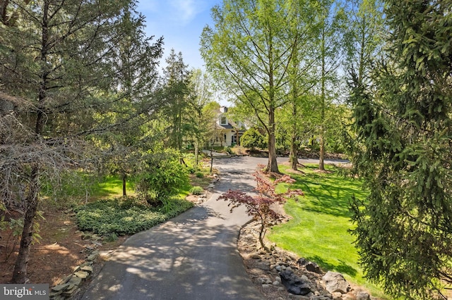 65 Covered Bridge Rd, New Hope, PA 18938 - surrounding community with a lawn