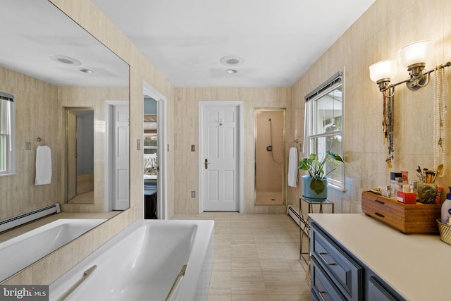 65 Covered Bridge Rd, New Hope, PA 18938 - bathroom featuring plenty of natural light, vanity, a shower, and tile walls
