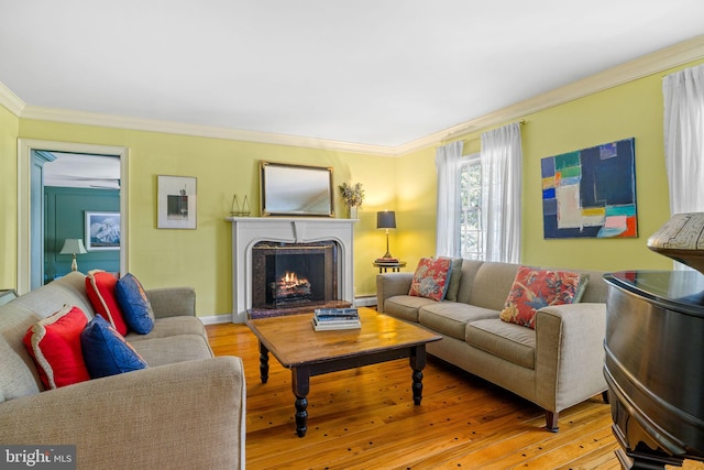 65 Covered Bridge Rd, New Hope, PA 18938 - living area featuring crown molding, a baseboard heating unit, wood-type flooring, and a warm lit fireplace