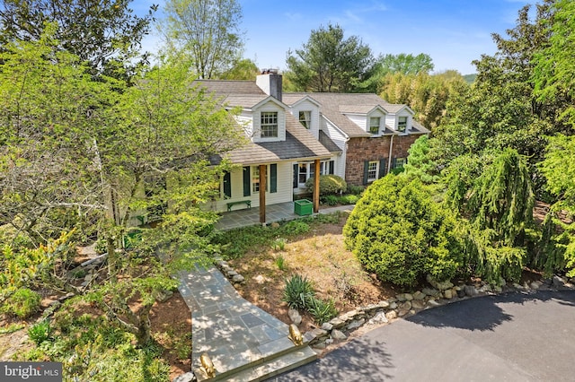 65 Covered Bridge Rd, New Hope, PA 18938 - cape cod home with a chimney and a porch