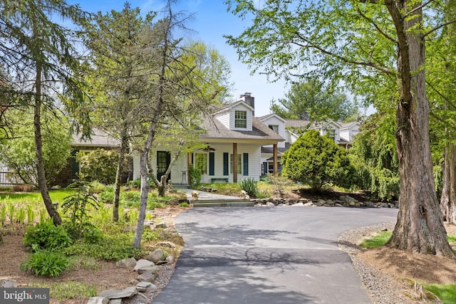 65 Covered Bridge Rd, New Hope, PA 18938 - view of front of house featuring a porch, driveway, and a chimney