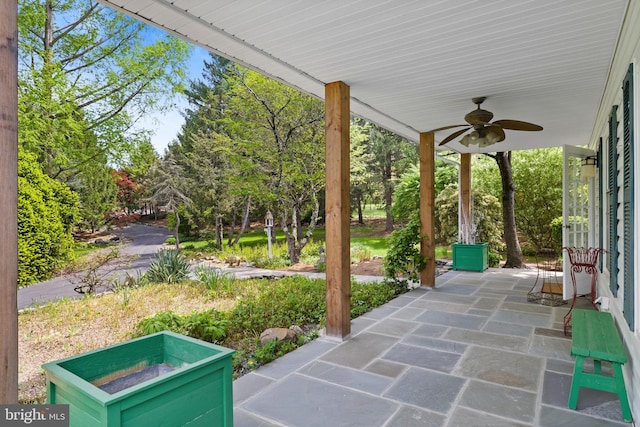 65 Covered Bridge Rd, New Hope, PA 18938 - view of patio with a ceiling fan and view of scattered trees