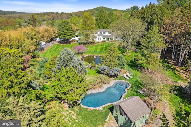 65 Covered Bridge Rd, New Hope, PA 18938 - view from above of property featuring a pool area and a forest