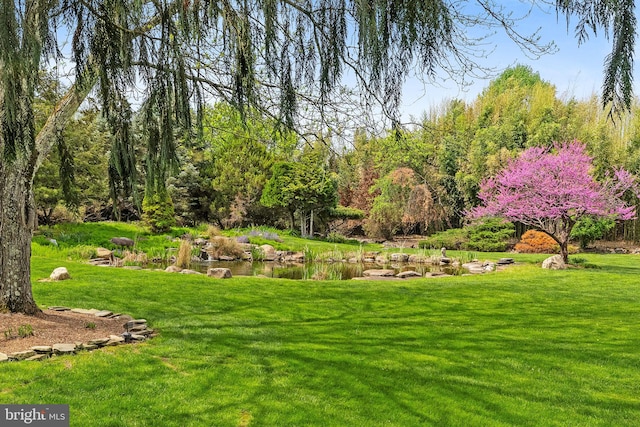 65 Covered Bridge Rd, New Hope, PA 18938 - view of grassy yard