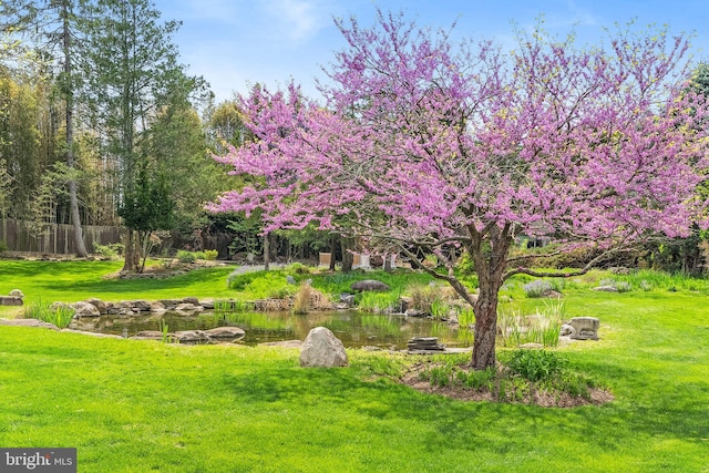 65 Covered Bridge Rd, New Hope, PA 18938 - view of property's community with a lawn