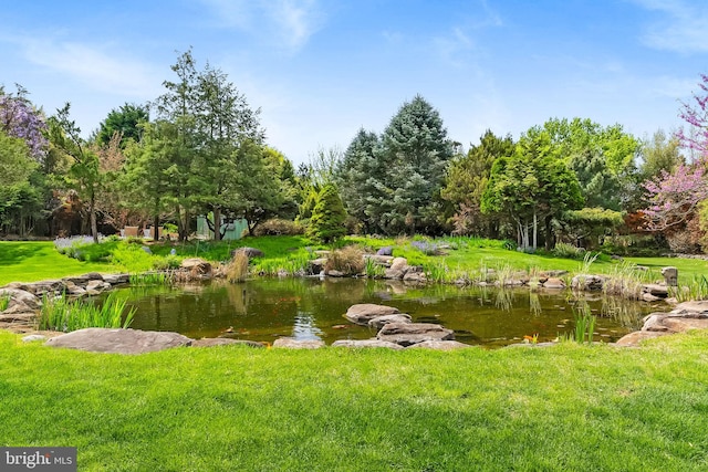 65 Covered Bridge Rd, New Hope, PA 18938 - water view