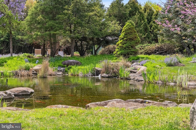 65 Covered Bridge Rd, New Hope, PA 18938 - water view